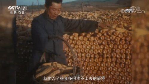 国产真实乱子视频在线持,在线观看背后的故事与争议