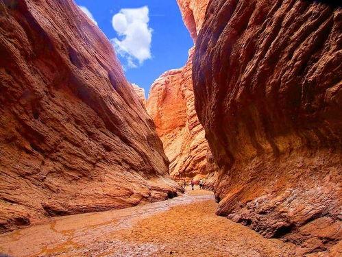 国产大峡谷视频下载观看,壮丽风光一网打尽，云端下载尽享视觉盛宴