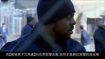 越狱搞笑视频国产剧大全,越狱搞笑视频国产剧大盘点