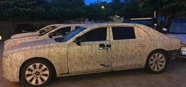 国产d级轿车视频,科技与艺术的完美融合